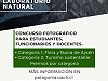 Concurso de Fotografía: Fotografiando nuestro Laboratorio Natural