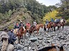 Trece habitantes de la comuna de Palena aprobaron Diploma de Guías de Cabalgata dictado por el Campus Patagonia de la UACh