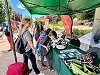 Campus Patagonia Organiza EXPOUACh en la Plaza de Armas de Coyhaique