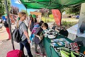 Campus Patagonia Organiza EXPOUACh en la Plaza de Armas de Coyhaique