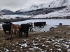 Impulsan digitalización en la agricultura en la Región de Aysén