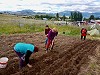 Huertas comunitarias: un espacio de conservación del Patrimonio Natural en Valle Simpson