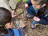 Niñas y niños de Aysén descubren flora y fauna nativa en aulas al aire libre